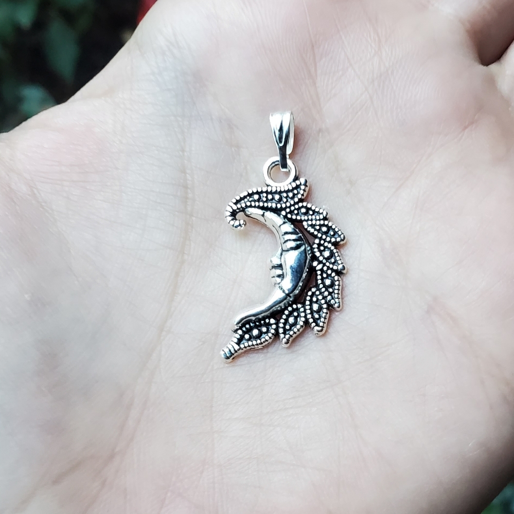 NWOT Sleeping Moon Pendant - Picture 3 of 8